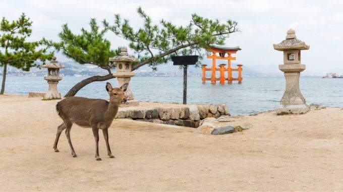 中部地方の薬剤師の平均年収と最高年収の求人