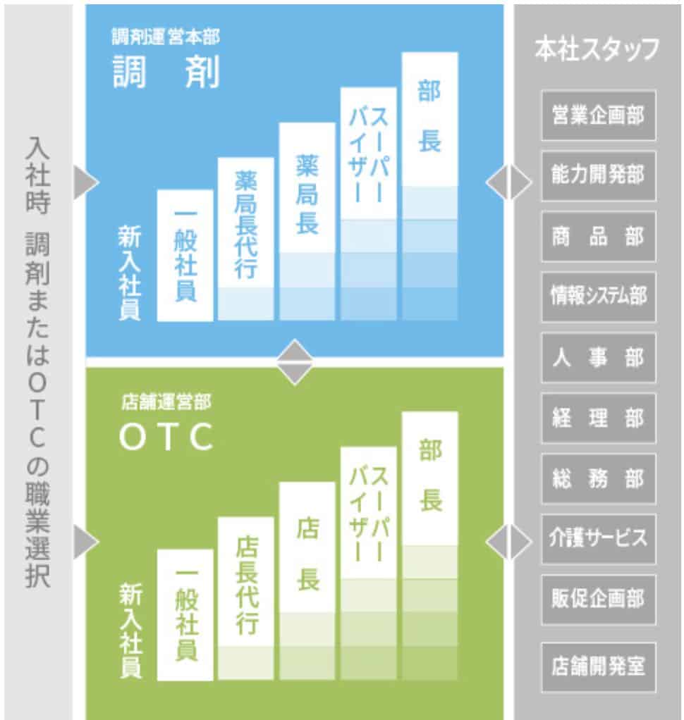 ツルハドラックの薬剤師のキャリアステップ